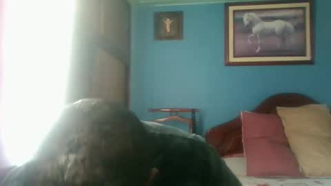 Snapshot of tender_eldelatienda chatting on 01/03/25, 04:59 Fabio Canavaro online show from 01/03/25, 04:59