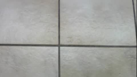 teninchheels online show from 12/22/24, 01:00