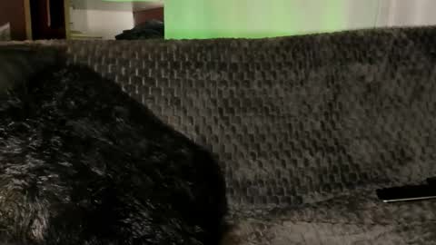 Teo online show from 01/08/26, 04:09