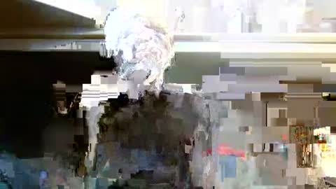 Snapshot of terdy2366 chatting on 10/07/25, 03:25 terdy2366 online show from 10/07/25, 03:25