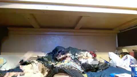 Snapshot of terdy2366 chatting on 10/23/25, 06:02 terdy2366 online show from 10/23/25, 06:02