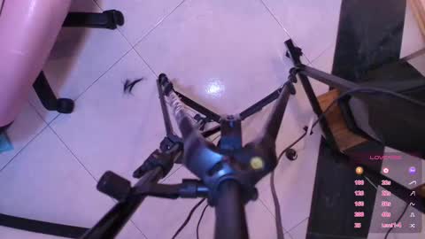 Terra Elowen online show from 11/01/25, 11:45