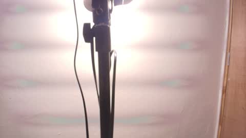 Terra Elowen online show from 02/25/26, 11:31