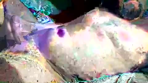 th3darksideofthemoon online show from 02/26/25, 02:15