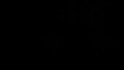 CJ online show from 03/02/26, 05:08