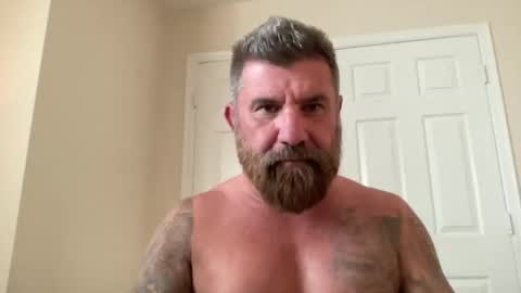 Snapshot of thatguybearded chatting on 03/05/25, 10:43 ThatGuyBearded online show from 03/05/25, 10:43