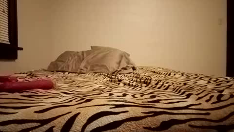 thatman1997655 online show from 11/11/25, 04:12