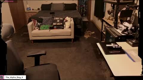 the_alpha_dog_xxx online show from 04/26/26, 04:48