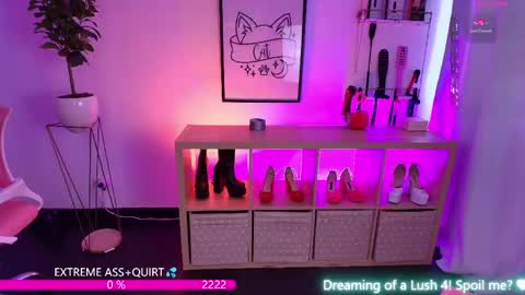 Snapshot of the_cat_girl_ chatting on 05/19/26, 06:36 i am Cat online show from 05/19/26, 06:36