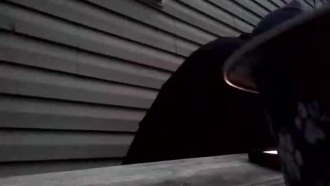 the_invincible_1 online show from 11/02/25, 11:45