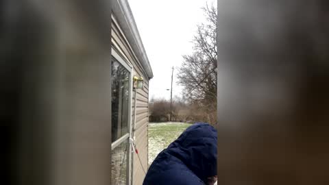 the_invincible_1 online show from 01/17/26, 01:49