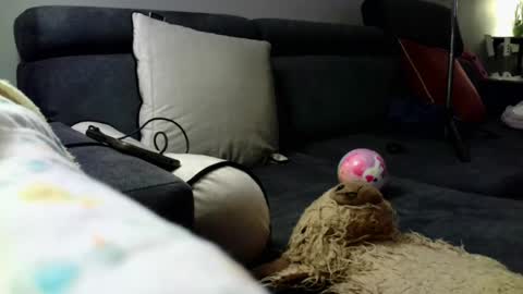 Stephan 34  Cassandra 25 online show from 04/08/26, 09:04