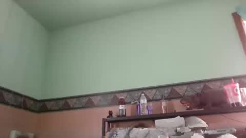 Snapshot of the_sam_ chatting on 01/28/25, 04:30 the_sam_ online show from 01/28/25, 04:30