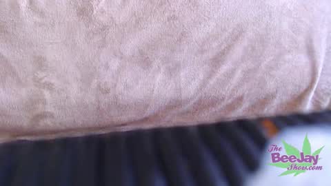 TheBeeJayShow online show from 12/04/24, 01:36