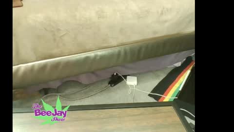 TheBeeJayShow online show from 05/23/26, 01:48
