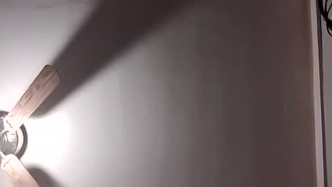thedailyshower online show from 08/04/26, 04:37