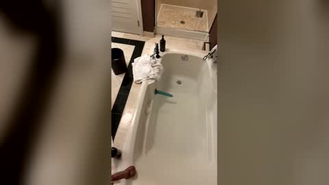 thedirtierthebetter8 online show from 03/19/26, 10:41