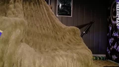 H online show from 03/13/26, 06:14