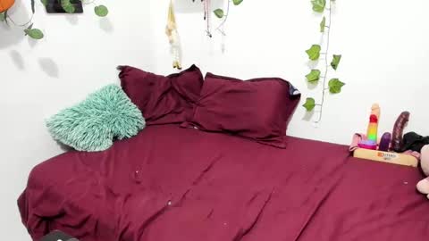 Ariamapola88 online show from 01/30/25, 07:18