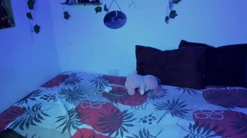 Ariamapola88 online show from 11/16/25, 01:44