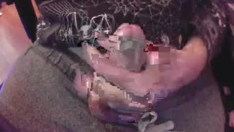 The Fox  The Cat online show from 01/08/25, 06:31