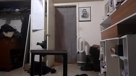 Arching4Life online show from 12/20/24, 11:10