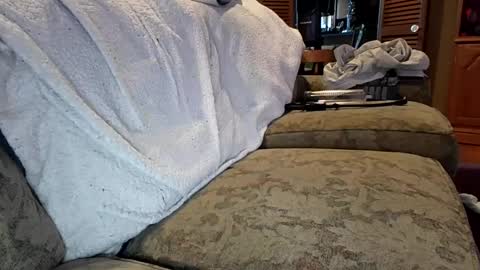 Snapshot of theicecreamguru chatting on 10/08/25, 07:55 theicecreamguru online show from 10/08/25, 07:55