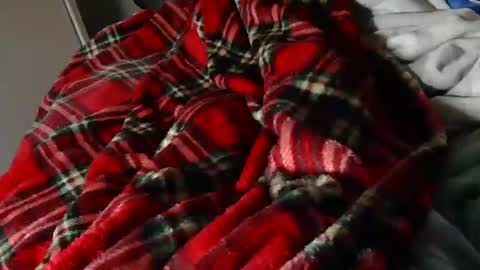 Liam online show from 03/23/26, 08:35