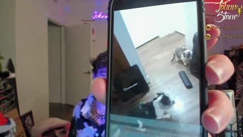 Snapshot of thejohnnystone chatting on 12/29/24, 01:13 Johnny Stone online show from 12/29/24, 01:13