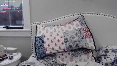 Snapshot of thelipsdown chatting on 03/02/25, 09:11 Lacey online show from 03/02/25, 09:11