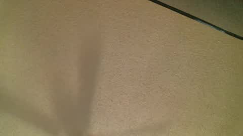 Snapshot of themormonman chatting on 10/19/25, 03:51 Daisy and Tim online show from 10/19/25, 03:51