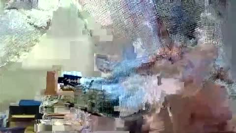 themouse6969 online show from 10/13/25, 04:40