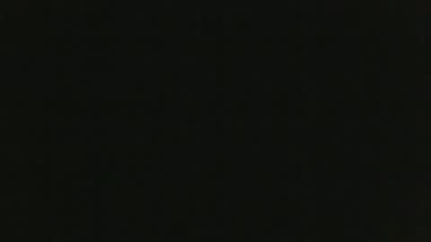 JohnSilver online show from 01/13/25, 01:28