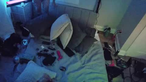 Snapshot of theperfectbottom chatting on 11/17/25, 11:49 theperfectbottom online show from 11/17/25, 11:49