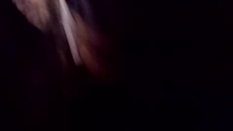 theprofessorxo online show from 09/29/25, 12:49