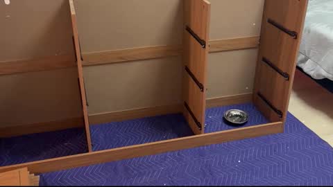 therealdylansdick online show from 11/15/25, 12:41