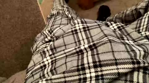 therealpietro77 online show from 02/05/26, 08:57