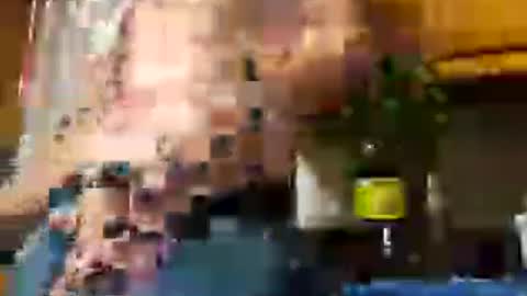Snapshot of therizzler_1_of_1 chatting on 06/29/26, 03:02 therizzler_1_of_1 online show from 06/29/26, 03:02