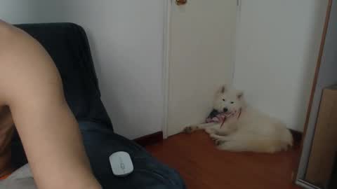 thesaint_xxx online show from 11/08/25, 08:07