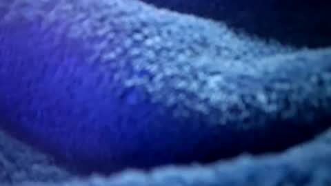 Snapshot of thetasigma69 chatting on 02/16/26, 01:18 that would be telling online show from 02/16/26, 01:18