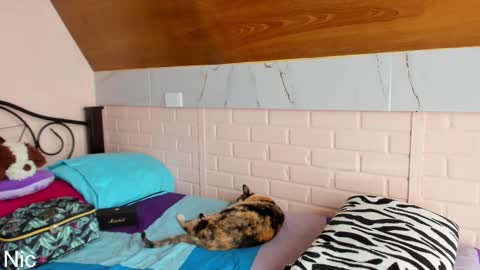 Nicole online show from 03/25/26, 02:45