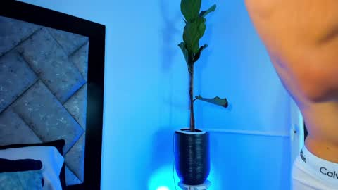 thiago online show from 12/29/24, 04:27