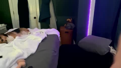 Thick D Bottom online show from 03/12/26, 04:51