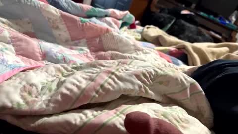 Snapshot of thickdic44 chatting on 02/12/25, 06:40 thickdic44 online show from 02/12/25, 06:40