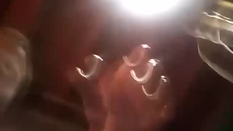 thickdick513 online show from 12/21/24, 01:10