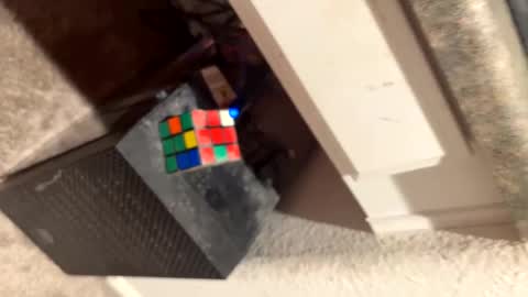 Thiccccc online show from 03/06/25, 08:08