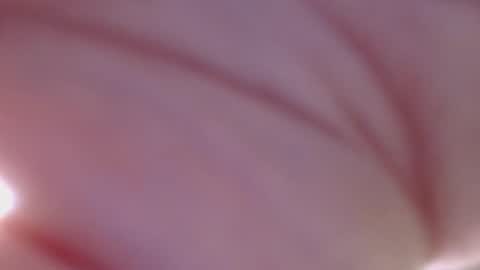 Snapshot of thickwhiteload chatting on 05/11/26, 06:05 thickwhiteload online show from 05/11/26, 06:05