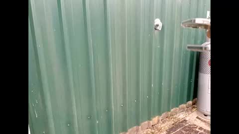 Snapshot of throbmasterr chatting on 09/12/25, 09:48 throbmasterr online show from 09/12/25, 09:48