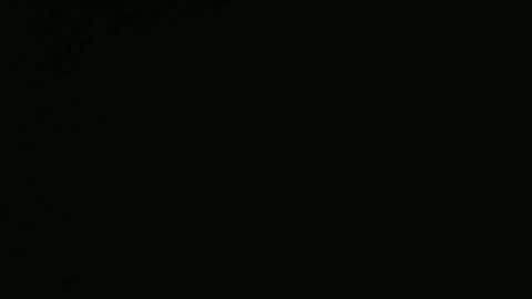 Snapshot of tiago2588 chatting on 02/09/25, 08:13 tiago2588 online show from 02/09/25, 08:13