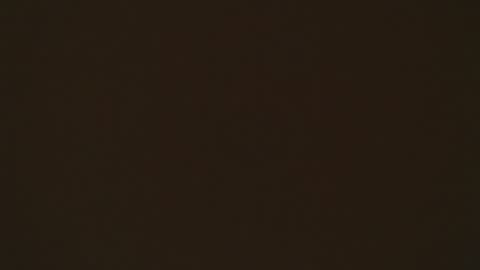 LIA online show from 04/02/26, 02:15